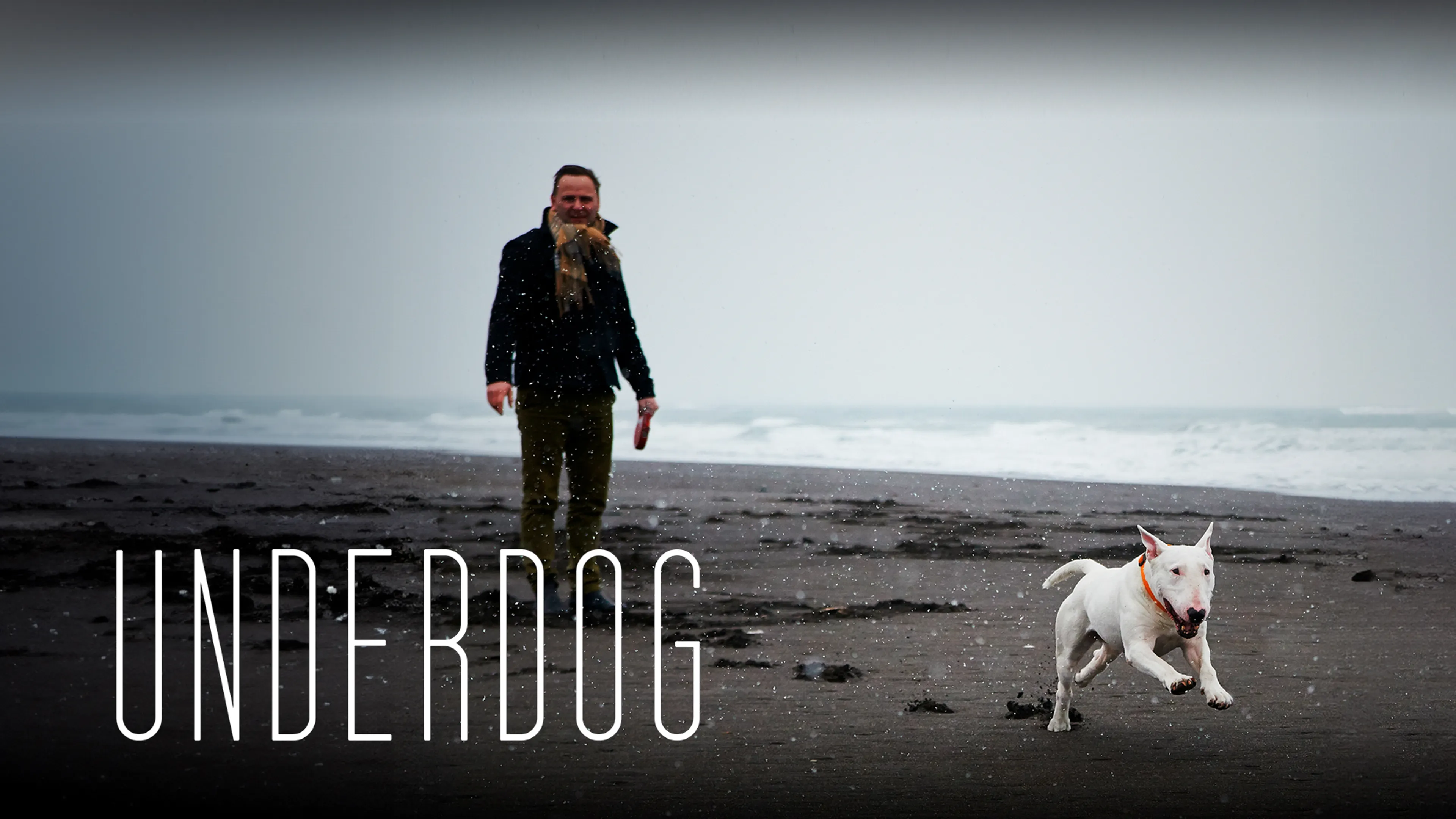 Underdog poster